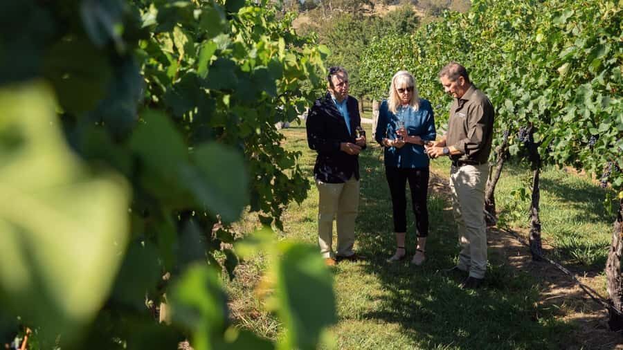 Orange: Indulge with Swinging Bridge - 5-Course Lunch & Tour - Who Will Love This Experience?