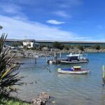 Otago Harbour by Bike: A Self Guided Tour - What to Expect Along the Way