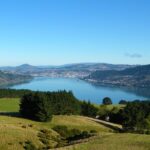 Otago Peninsula Scenery and Dunedin City Highlights Tour - Final Words