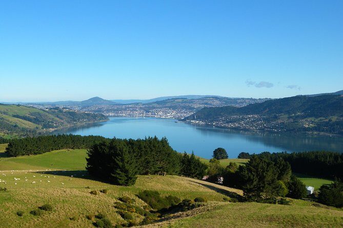Otago Peninsula Scenery and Dunedin City Highlights Tour - Final Words
