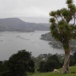 Otago Peninsula Tour and Larnach Castle City Sights (min 4 ) - Transportation and Group Dynamics