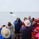 Otago Peninsula Wildlife Cruise with Monarch - Wildlife and Scenic Highlights