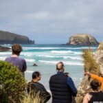 Otago Peninsula Wildlife Tour & Cruise - What Travelers Say