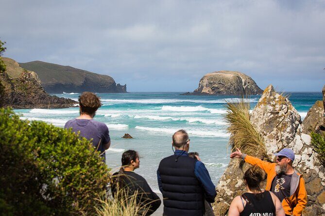 Otago Peninsula Wildlife Tour & Cruise - What Travelers Say