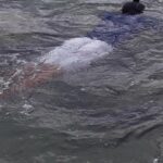 Other side of heaven Eco friendly snorkeling adventure - Everything You Need to Know About the Logistics