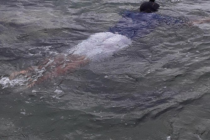 Other side of heaven Eco friendly snorkeling adventure - Everything You Need to Know About the Logistics