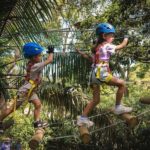 Ourimbah: Central Coast Junior Tree Ropes Course - An In-Depth Look at the Treetops Adventure Central Coast Experience