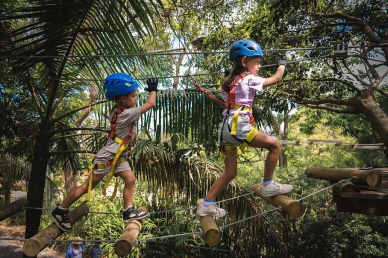 Ourimbah: Central Coast Junior Tree Ropes Course - An In-Depth Look at the Treetops Adventure Central Coast Experience