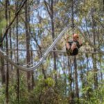 Ourimbah: Central Coast Zipcoaster - What Makes the Zipcoaster Stand Out?