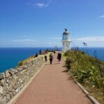 Paihia: Cape Reinga and Ninety Mile Beach Trip with Lunch - What to Expect from the Tour