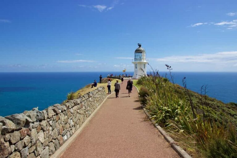 Paihia: Cape Reinga and Ninety Mile Beach Trip with Lunch - What to Expect from the Tour