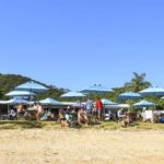 Paihia: Hole in the Rock Fast Boat with Island Stopover - A Closer Look at the Itinerary