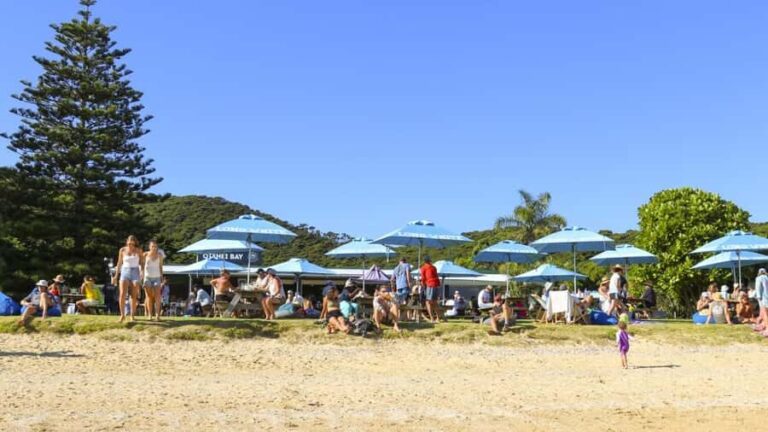 Paihia: Hole in the Rock Fast Boat with Island Stopover - A Closer Look at the Itinerary