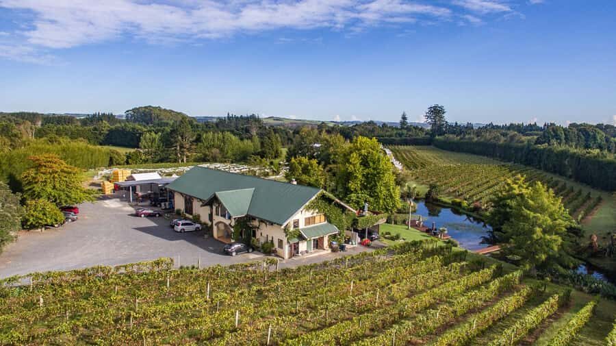 Paihia or Kerikeri: Wine, Spirit, & Craft Beer Tour - Who Will Love This Tour?