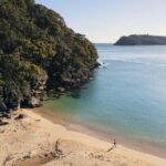 Palm Beach Harbour Hopper 24-hour or 48-hour Cruise Pass - Exploring Pittwater on the Harbour Hopper