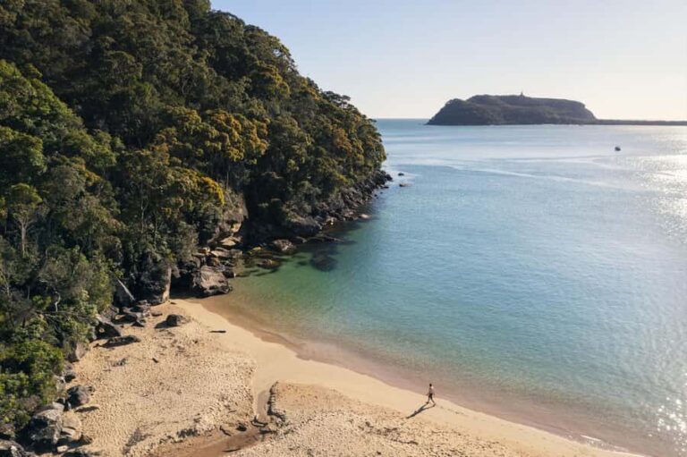 Palm Beach Harbour Hopper 24-hour or 48-hour Cruise Pass - Exploring Pittwater on the Harbour Hopper