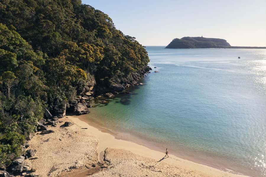 Palm Beach Harbour Hopper 24-hour or 48-hour Cruise Pass - Exploring Pittwater on the Harbour Hopper