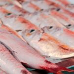 Papeete Food & City Tour - Frequently Asked Questions