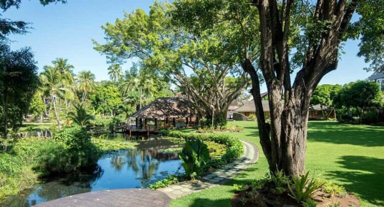 Papeete : walking tour - Itinerary and Highlights in Detail