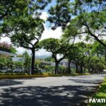 Papeete Walking Tour - Tahiti - What You Can Expect from the Tour