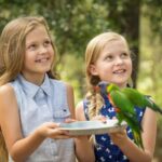 Paradise Country: Ultimate Aussie Farm Experience - Practical Details and Value