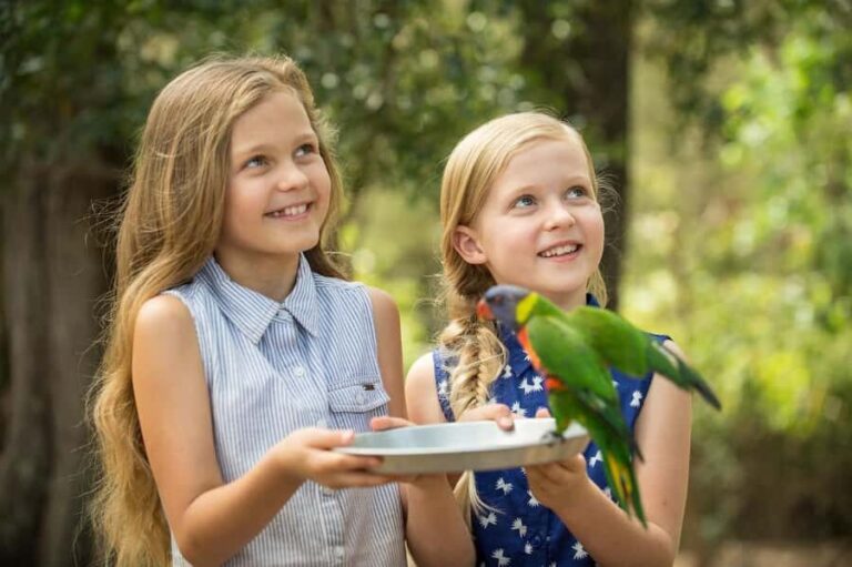 Paradise Country: Ultimate Aussie Farm Experience - Practical Details and Value