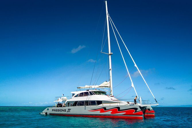 Passions of Paradise Great Barrier Reef Cruise by Catamaran - The Experience: Reviews in Action