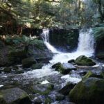 Peaks, Falls & Furry Locals: Mt. Field & the Derwent - The Sum Up
