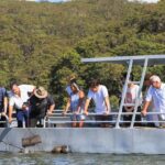 Pearl & Oyster Farm Hawkesbury River Cruise - Why This Tour Resonates