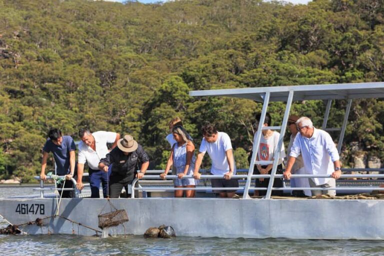 Pearl & Oyster Farm Hawkesbury River Cruise - Why This Tour Resonates