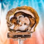 Pearls & Coast: 35-Minute Helicopter Flight & Willie Creek Tour - Who Is This Tour Best For?