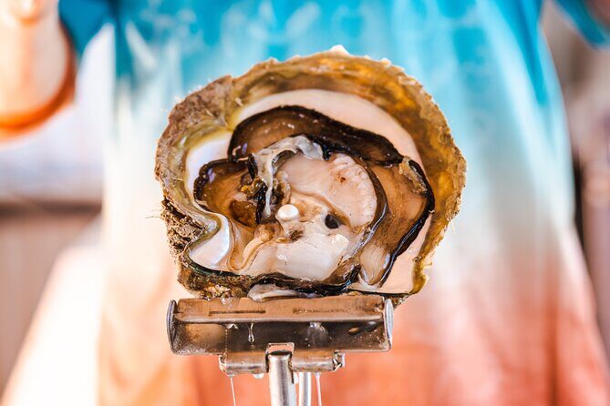 Pearls & Coast: 35-Minute Helicopter Flight & Willie Creek Tour - Who Is This Tour Best For?