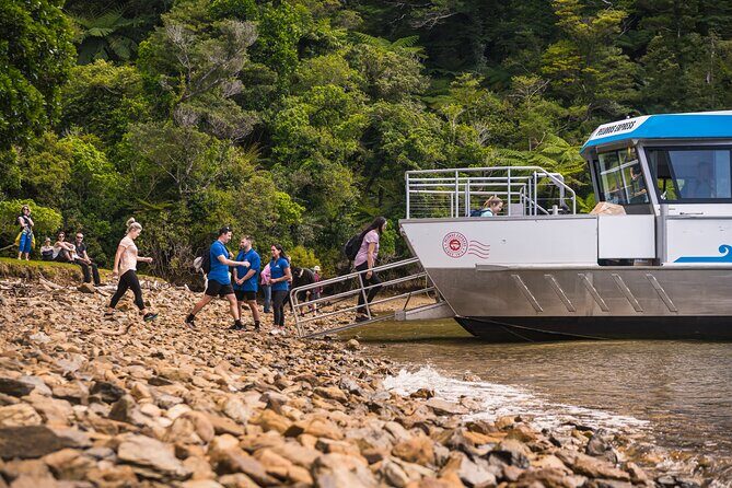 Pelorus Mail Boat Sunday Scenic Cruise  Full-Day from Havelock - An In-Depth Look at the Experience