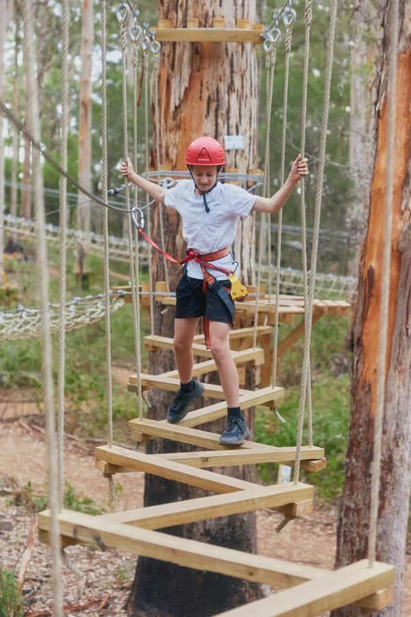 Pemberton: 1 Hour Explorer Pass with Ziplines and High Ropes - What to Expect During Your Hour of Adventure