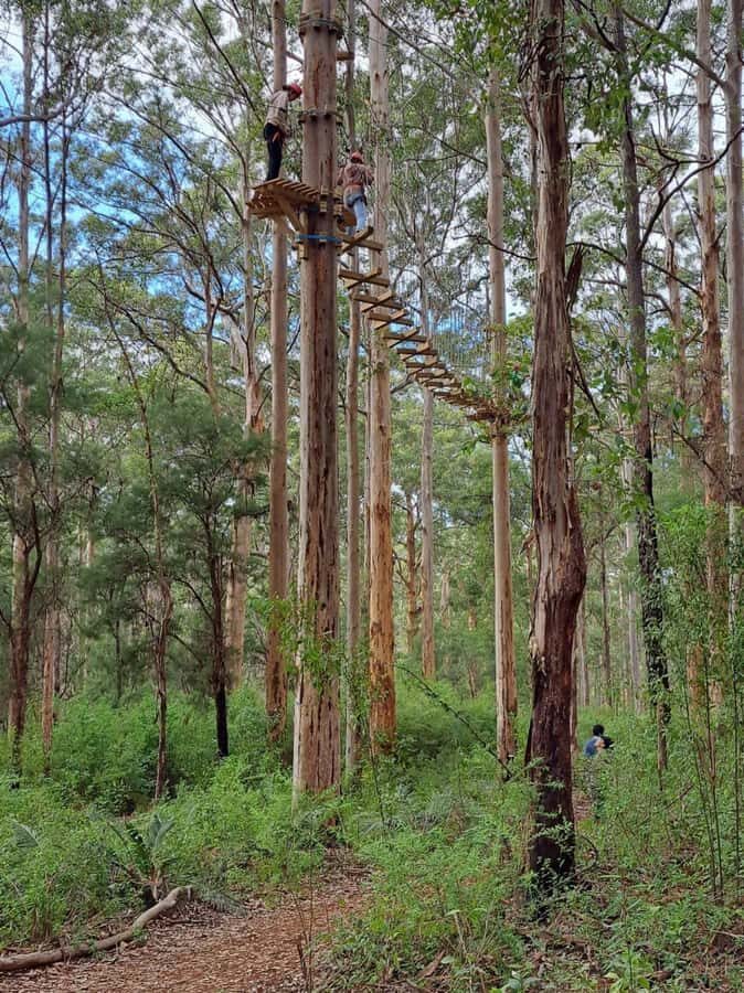 Pemberton: 2.5h Ultimate Ziplines & High Ropes Experience - What Makes It Special