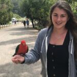 Penguin and Australian Animals Private Tour - Authentic Experiences and Practical Insights