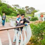 Penguin Parade: General Viewing Ticket - Experience Overview: What You Can Expect