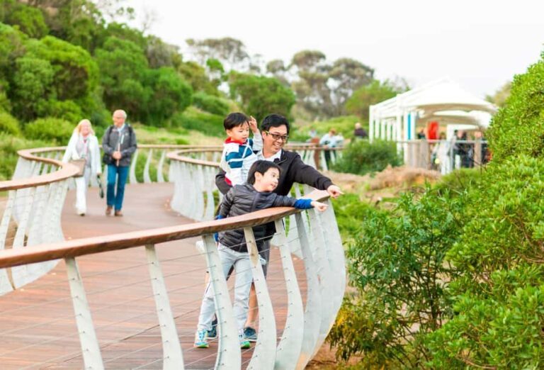 Penguin Parade: General Viewing Ticket - Experience Overview: What You Can Expect