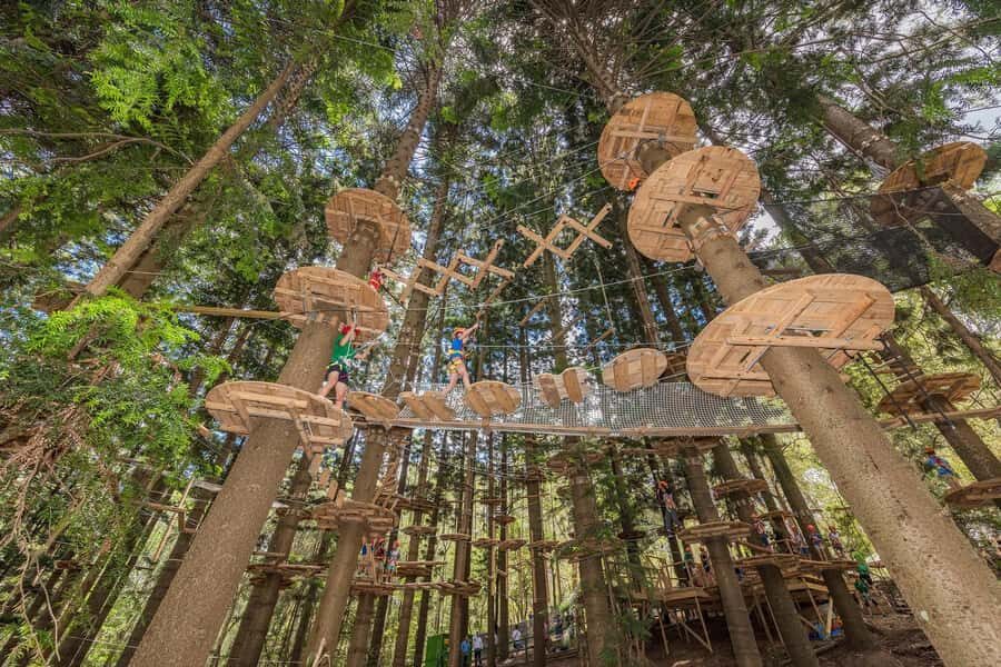 Pennant Hills: Tree Ropes Course Session - What to Expect: A Step-by-Step Overview