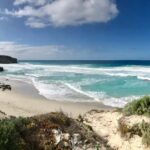 Penneshaw: Shore Excursion Kangaroo Island Scenic Tour - The Food and Comfort