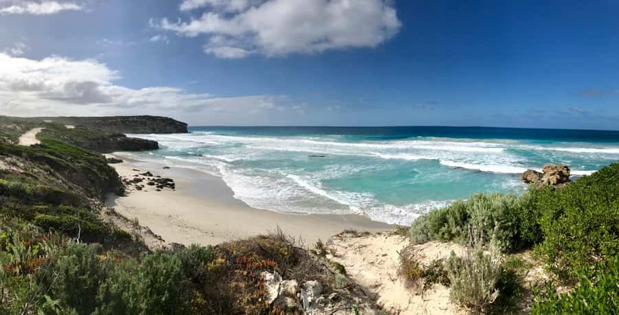 Penneshaw: Shore Excursion Kangaroo Island Scenic Tour - The Food and Comfort