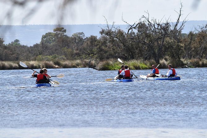 Perth Kayak Tour - Canning River Wetlands - Detailed Breakdown of the Itinerary