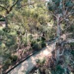 Perth: Kings Park Botanicals & Beyond Guided Hike - Discover Ancient Trees and Native Flora