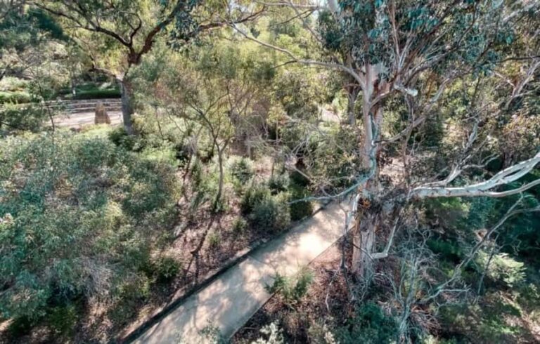 Perth: Kings Park Botanicals & Beyond Guided Hike - Discover Ancient Trees and Native Flora