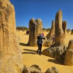 Perth: Pinnacles Desert & Sand Dunes Private Day Tour - What Makes This Tour Stand Out