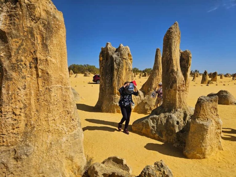 Perth: Pinnacles Desert & Sand Dunes Private Day Tour - What Makes This Tour Stand Out