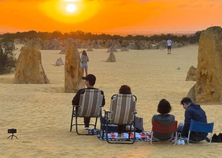Perth: Pinnacles Stargazing, Sandboarding & Beach Kangaroos - The Value of This Experience