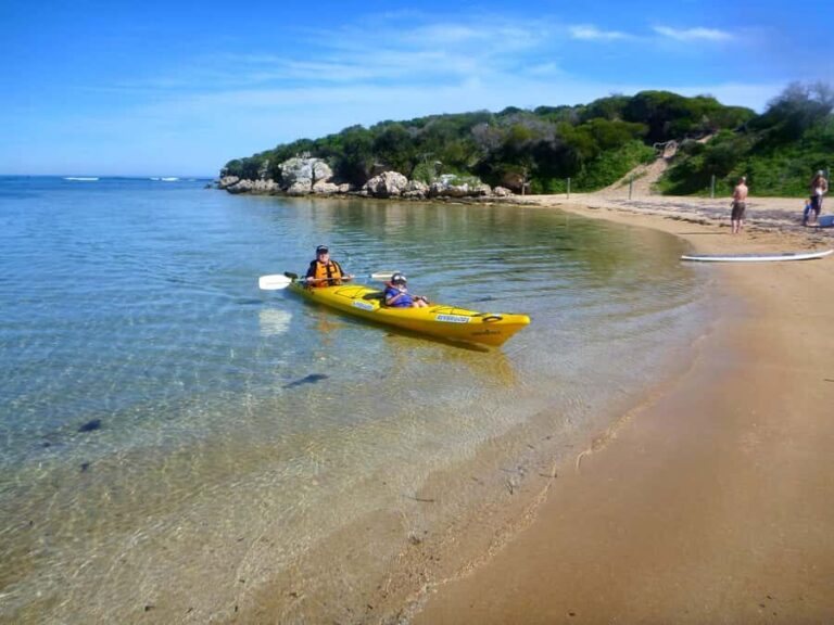 Perth: Shoalwater Islands Marine Park Sea Kayaking Tour - What’s Included and Practical Details