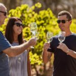 Perth: Swan Valley Half-Day Wine Tour - Small Group Experience - What to Expect at Each Stop