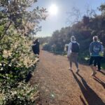 Perth: Swan View Tunnel, Falls, and Eagle View Hike - Value for Money and Overall Impression